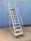 Customized High Quality Ladder Trolley Cart With Wheels For Warehouse